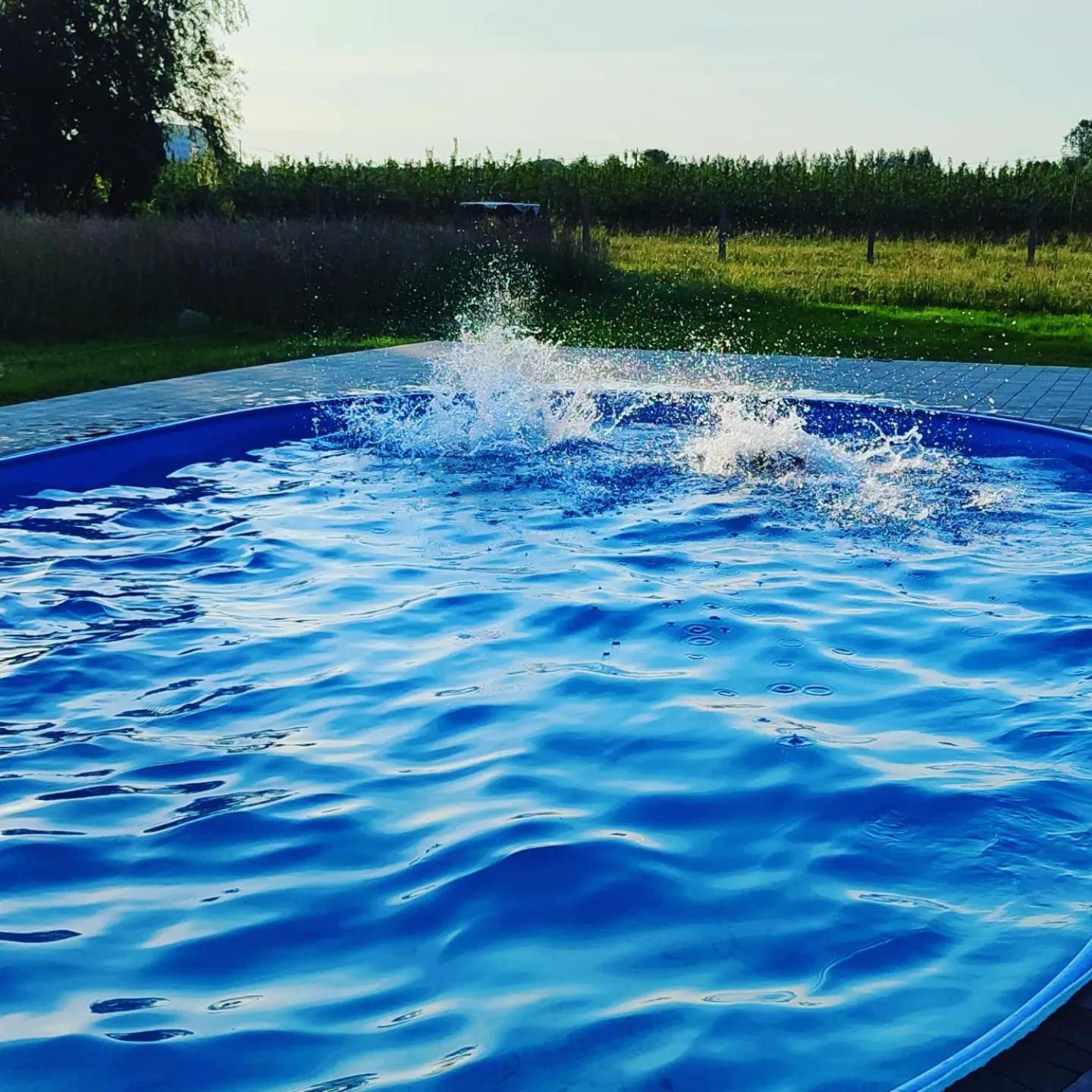 Apartamenty Wilga Z Calorocznym Jacuzzi I Letnim Basenem Eksteriør bilde